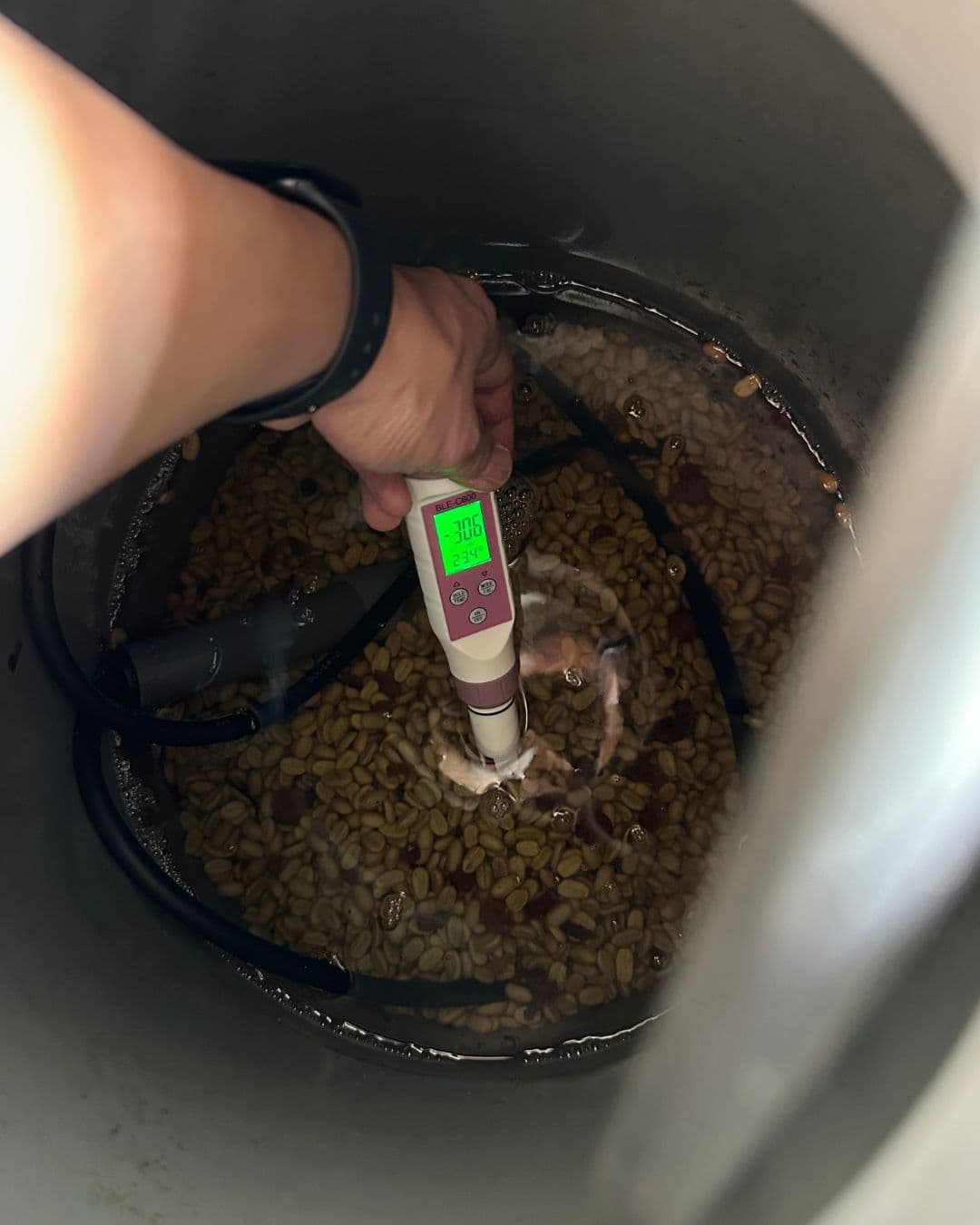 Image of Longer post-harvest crop shelf-lives